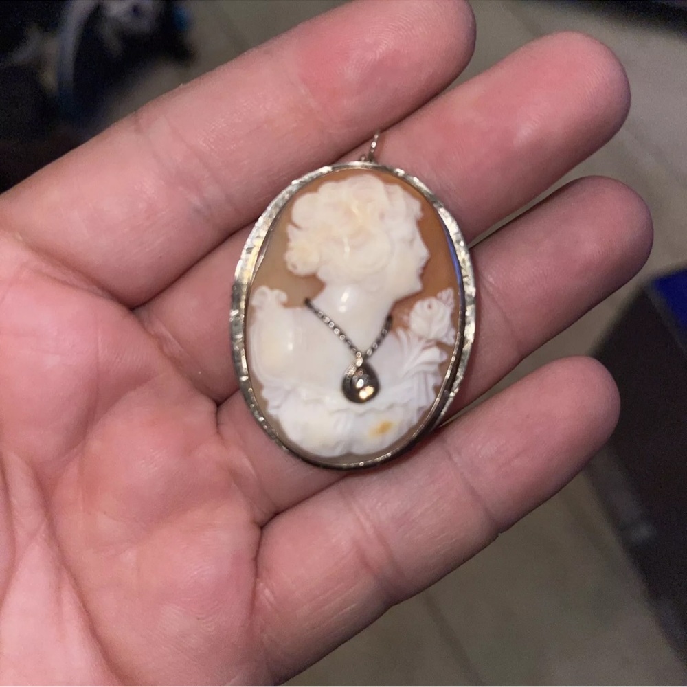 Elegant Cameo Pendant Necklace - Brown and White